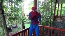 FROZEN ELSA vs SPIDERMAN ! SNAKE IN TOILET PRANK ! Funny Superhero Movie in Real Life