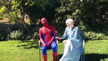 Witch Steals Elsas Cat vs Hulk - Spiderman Fun Superhero Kids In Real Life In 4K