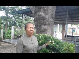 Sự thật tin đồn thần thánh hiển linh trên thân cổ thụ phù hộ giúp trúng số!!!