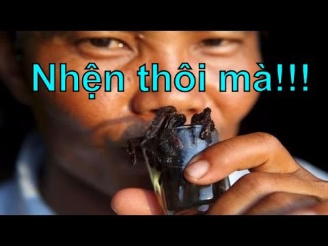 Chuyện lạ - Những đồ uống KHỦNG KHIẾP và KỲ QUẶC nhất thế giới