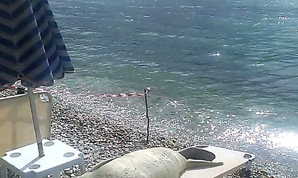 premium leisure spas