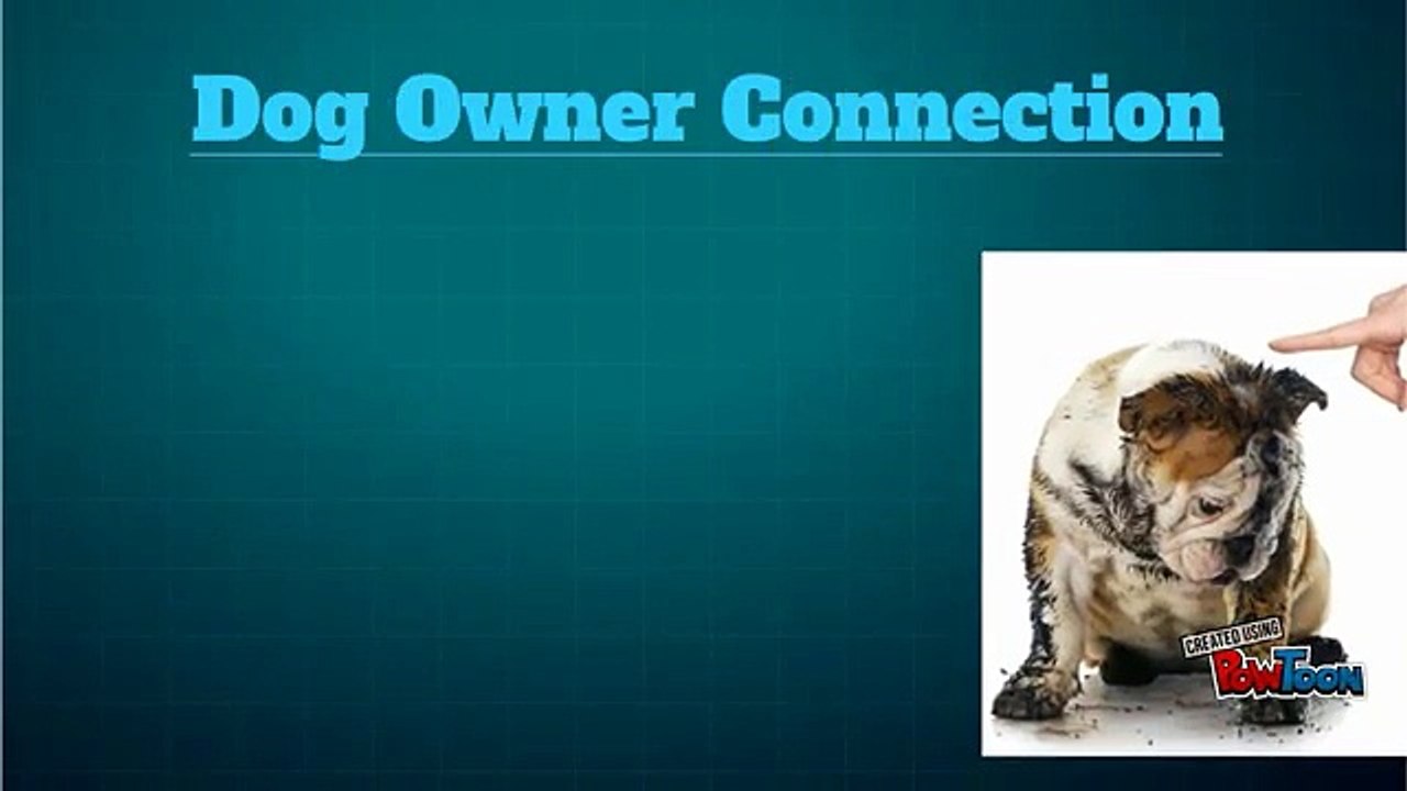 Know Healthy Homemade Dog Treats