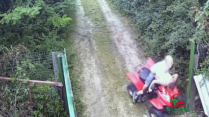 Videos muy graciosos - Cuarta parte