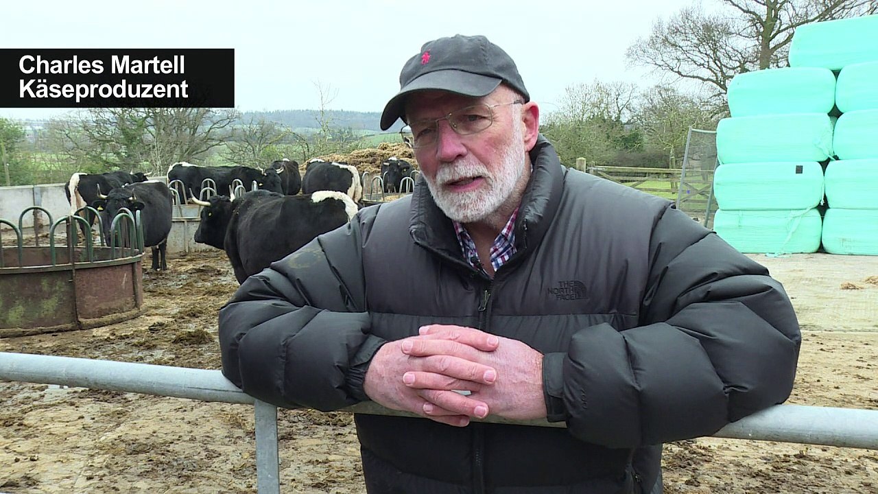 Manchmal ist der Brexit Käse