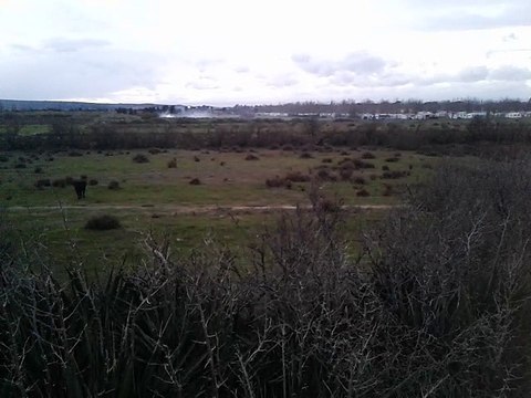 Plage des Cabanes de Fleury 28 fev 2017