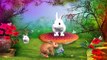 Farm Animals Finger Family 3d Animation - Domestic Animals Finger family Rhymes Nursery fo