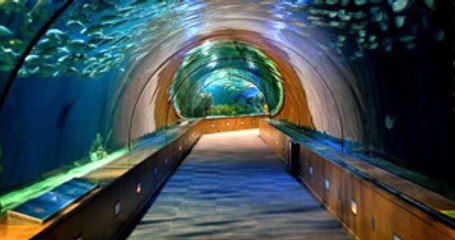 Üsküdar-Kabataş Tüneliyle Vatandaşlar Yürüyerek Karşıya Geçebilecek