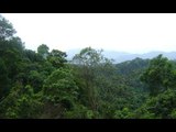 Những chuyện kỳ bí về rừng ma của người Vân Kiều [Chuyện lạ Việt Nam]