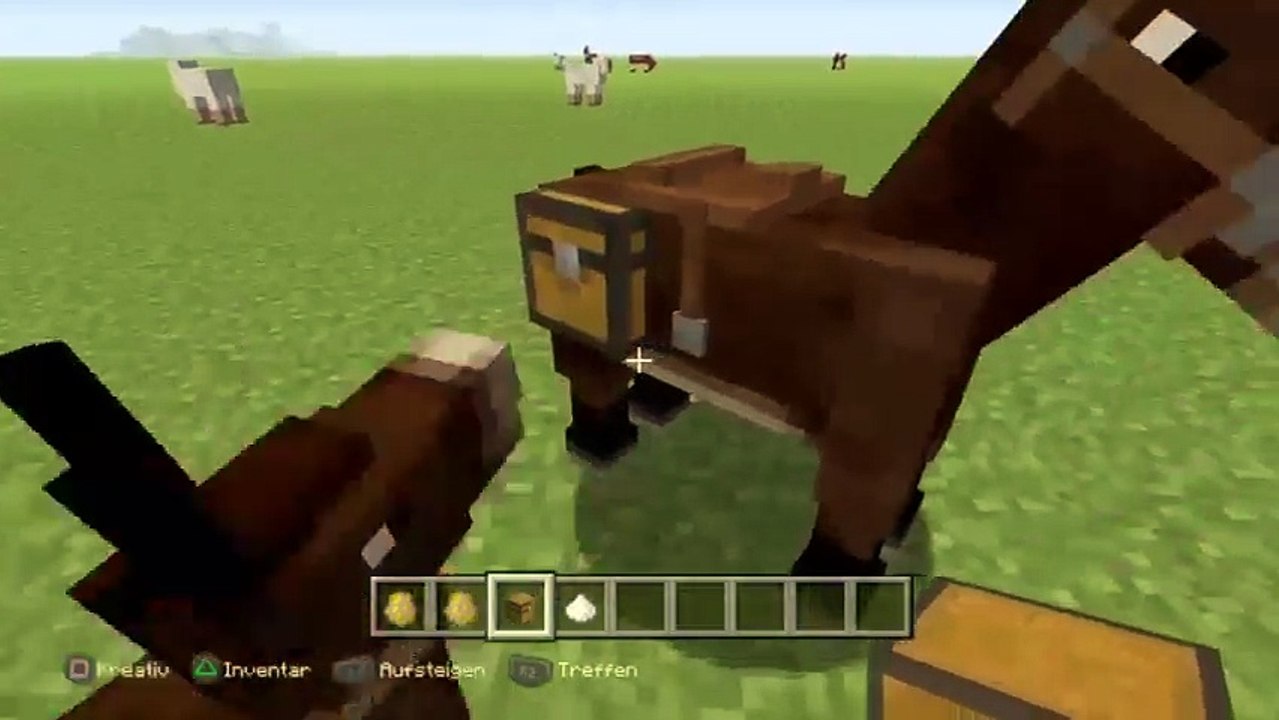 PS4-Live-Übertragung von laurent156 minecraft (58)