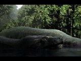 Chuyện kỳ lạ về rắn hổ mây khổng lồ ở Việt Nam nặng 500kg - sự thật đã có lời giải