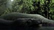 Chuyện kỳ lạ về rắn hổ mây khổng lồ ở Việt Nam nặng 500kg - sự thật đã có lời giải