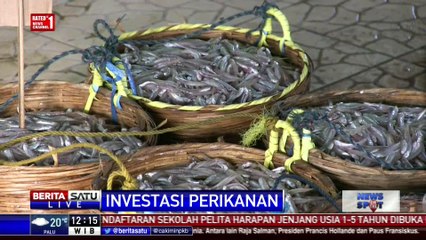 Descargar video: KKP Tawarkan Investasi untuk Pengembangan Pulau Kecil ke Arab