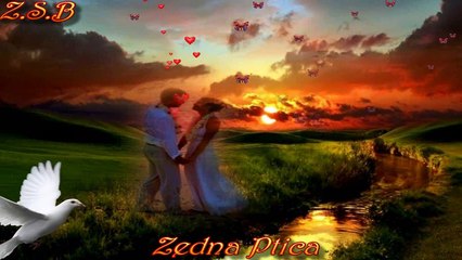Zedna Ptica ❤❤❤