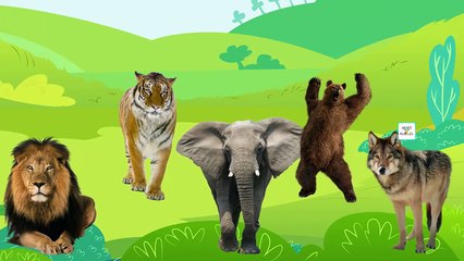 Animals Cartoons Finger Family Children Nursery Rhymes Animals Finger Family Rhymes for Kids
