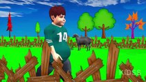 baa baa black sheep Rhymes For Kids | Popular 3D Animated Nursery Rhymes For Kids