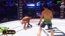 Ce combattant MMA se déboite l'épaule tout seul abandonne le combat en 17secondes