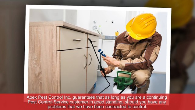 Professional Pest Control Sevices in Sacramento - Apex Pest Control