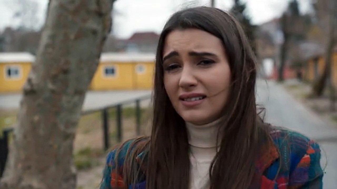 karadayi 319