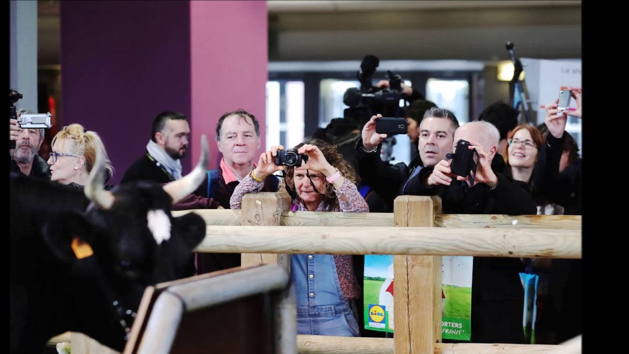 Salon de l'Agriculture : pour l'amour des vaches