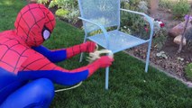 Elsa Bit by Spider & Spidergirl & Spiderman Kids Spider Family Fun Superhero Kids In Real Life In 4K