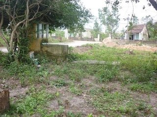 Chuyện lạ Việt Nam - Tìm ra chân tướng rắn thần báo oán ở Đà Nẵng