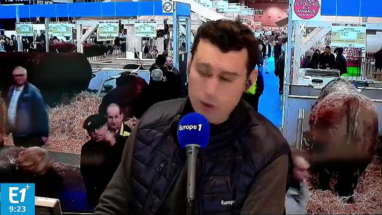 Salon de l'agriculture : l'épreuve obligatoire des candidats à la présidentielle