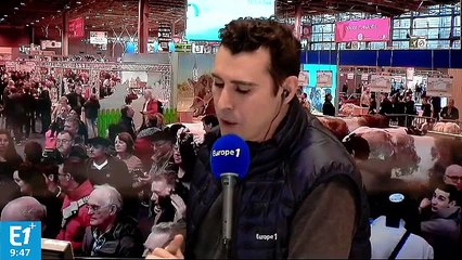 Michaël Youn : "J'ai très envie de présenter un late-night show"