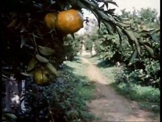 Méditerranée 1963 Greek Subs