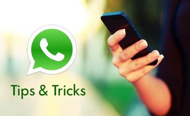 Whatsapp Tips and Tricks You Must Know