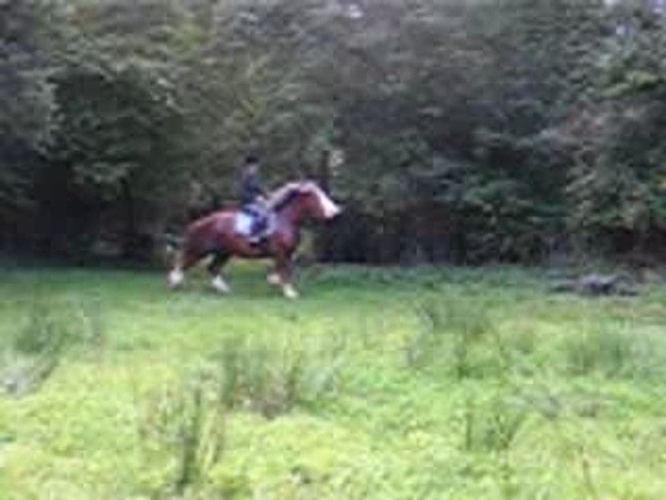 Polen saut c
