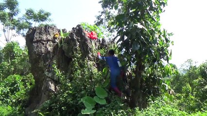 Spiderman & Frozen Elsa Get Giants PINOCCHIO NOSE! w/ Anna vs Pizza Zombie, Hulk vs joker!