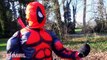 Паук личности показал, что в реальной жизни Вт розовый Человек-паук, замороженные Эльза арестован супергерой