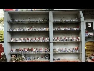 Nghĩa địa chó mèo và những câu chuyện dở khóc dở cười