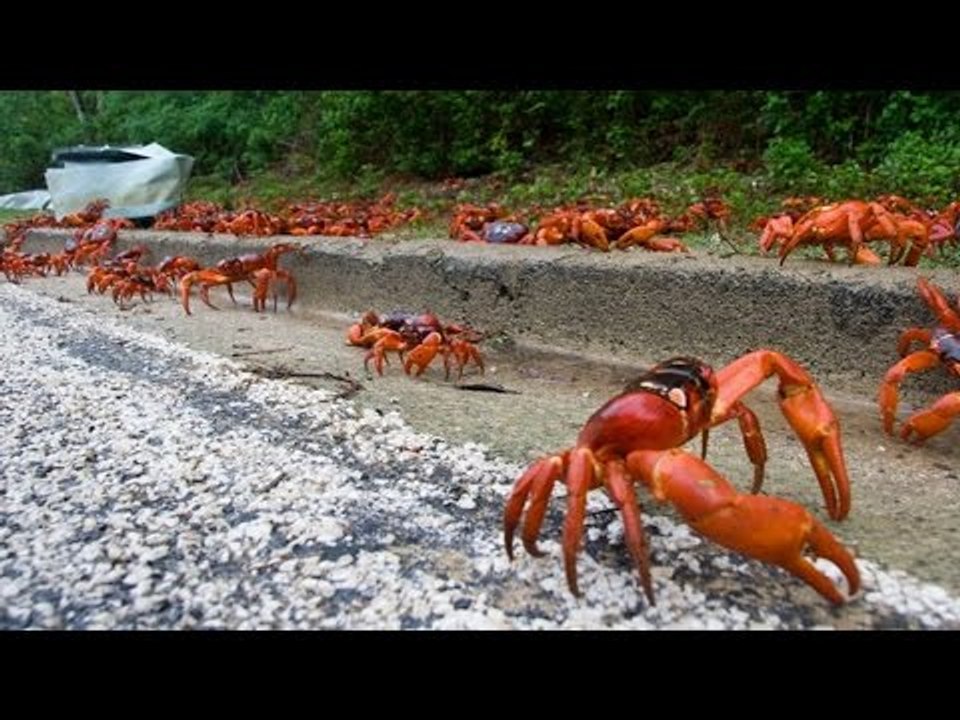 Chuyện lạ có thật - Những hiện tượng thiên nhiên kỳ lạ nhất thế giới