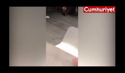 Dünyaca ünlü fast food restoranında kan donduran görüntü
