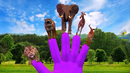 Dinosaurs Cartoons for Children Finger Family Nursery Rhymes | ABC Songs Twinkle Twinkle L