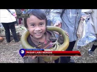 Semarak Perayaan Pesta Labu di Jerman - NET12