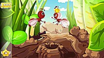 жизненный цикл НТ колоний этой игры насекомых | андроид / iOS для Образование для детей