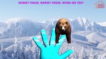 Crazy Gorilla vs Bear Finger Family Rhymes - The Finger Family Song