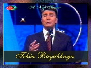 Tekin BÜYÜKKAYA - Altın Tasta Bulgurum