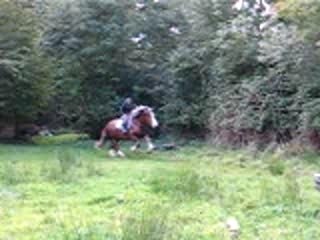 Saut corde encolure 2