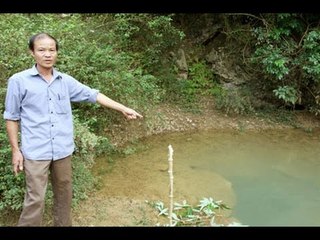 Chuyện lạ khó tin - Thần bí chuyện mó nước hiểu tiếng người