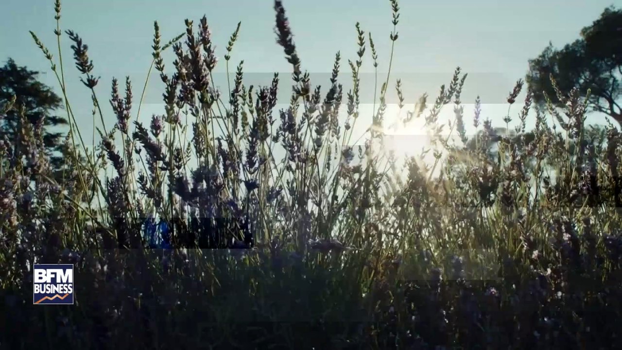 Angelina Jolie, égérie du nouveau parfum "Mon Guerlain"