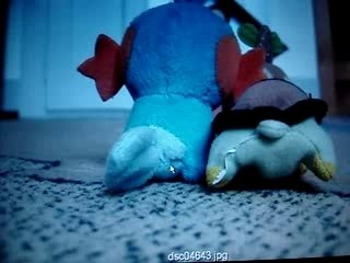 épisode 01 pkmn peluches