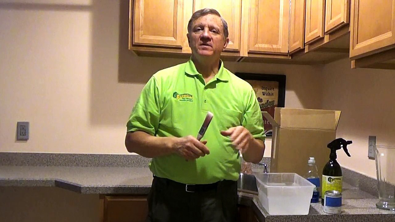 How to Clean Paint Brushes Quickly using Superzilla