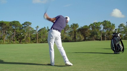 What is Cobra Connect, and why you should use it?