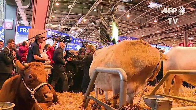 Macron réagit à l'affaire Fillon au salon de l'agriculture