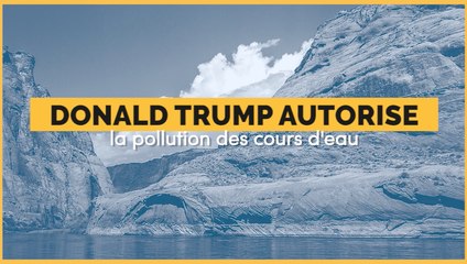 Donald Trump autorise à nouveau la pollution des cours d'eau pour exploiter le charbon