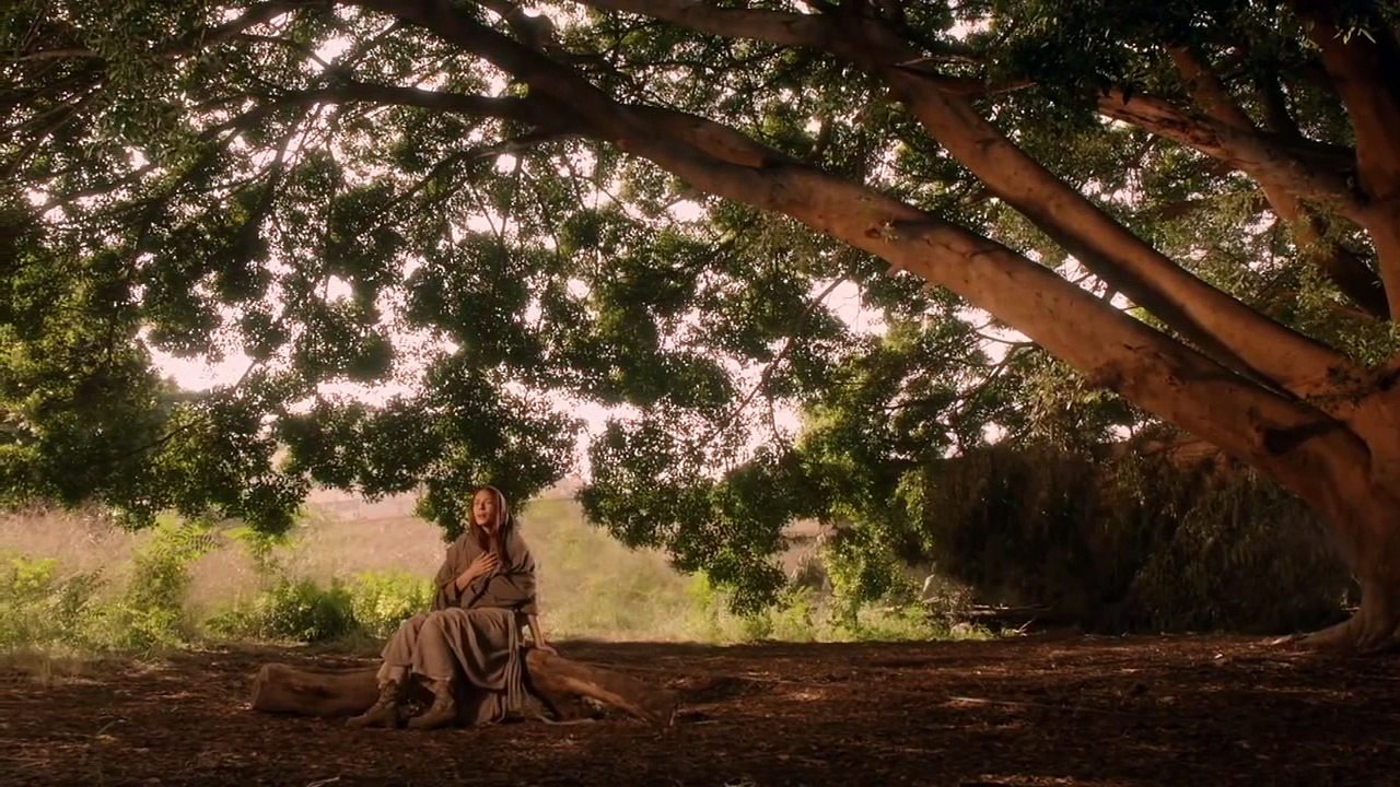 le rêve de baya