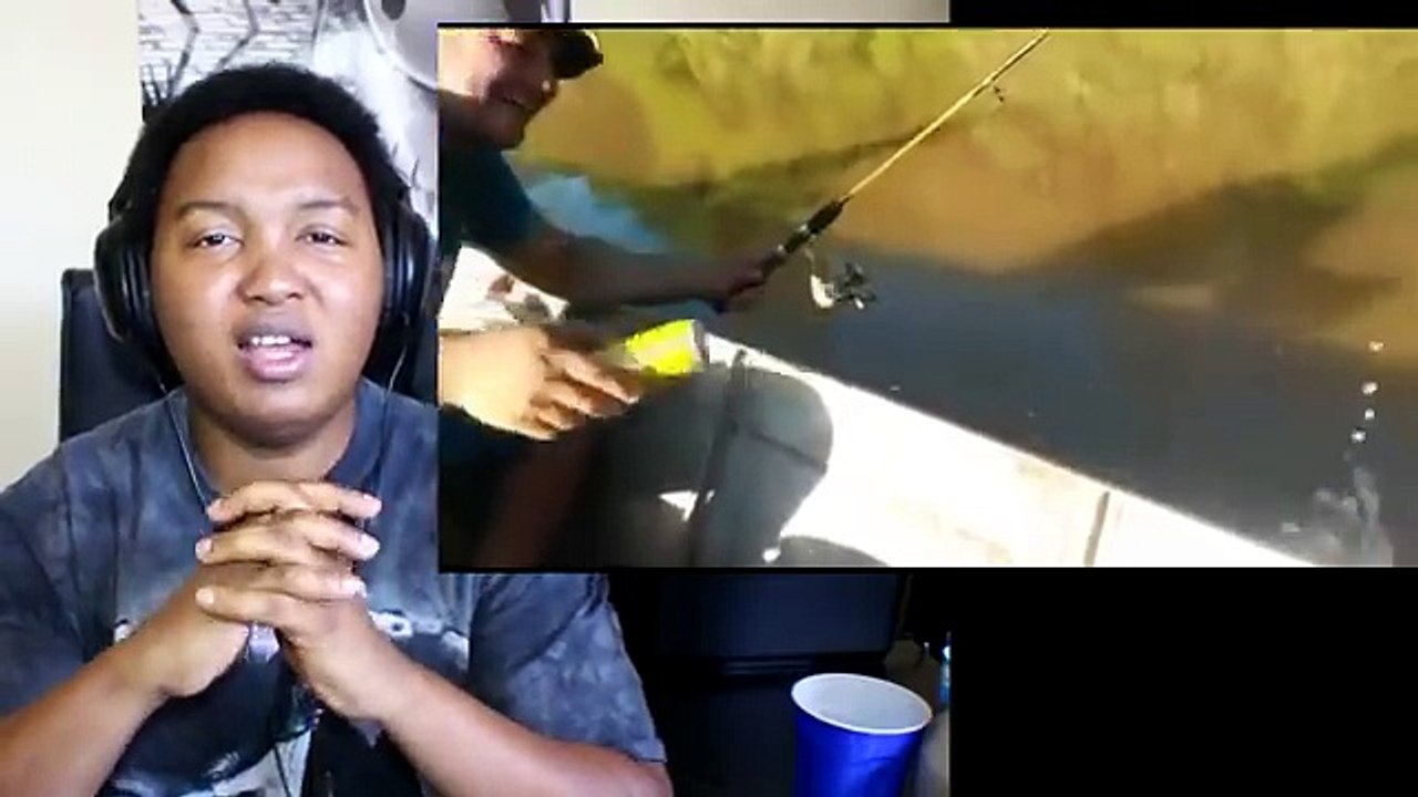 VIDEOS DIVERTIDOS DE ANIMALES DIVERTIDOS